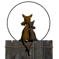 Gif animé amour chats